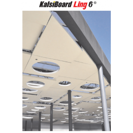 KalsiBoard Ling 6
